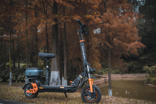 Exploring the Viability of Electric Scooters for Senior